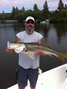 Catch & Release Snook